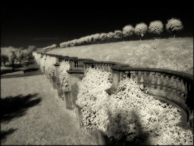 infared инфракрасная ик ir инфракрасный Петергофъ фото превью