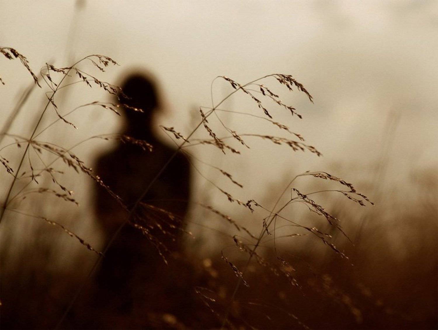 одиночество, Nepogoda