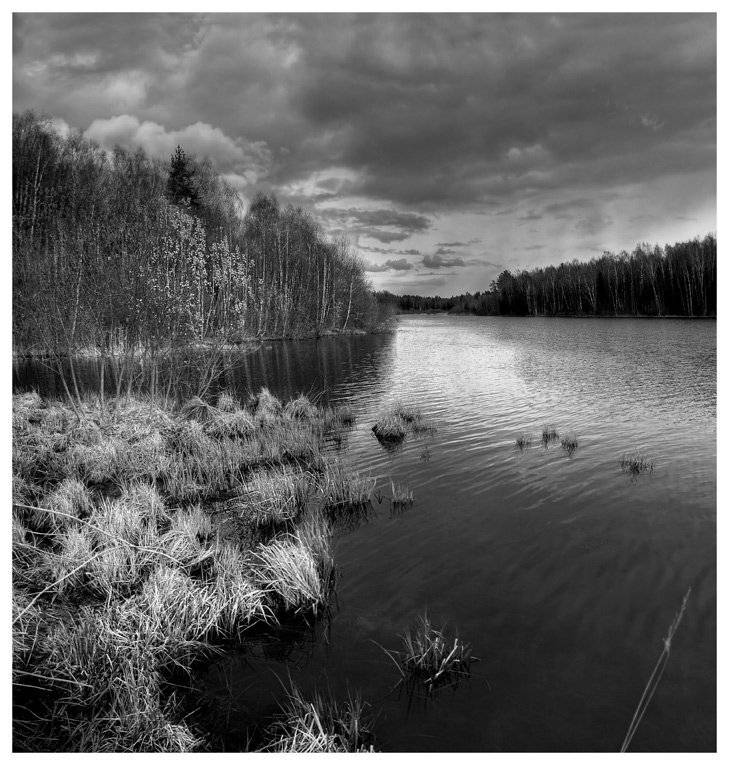 , Сергей Прокошин