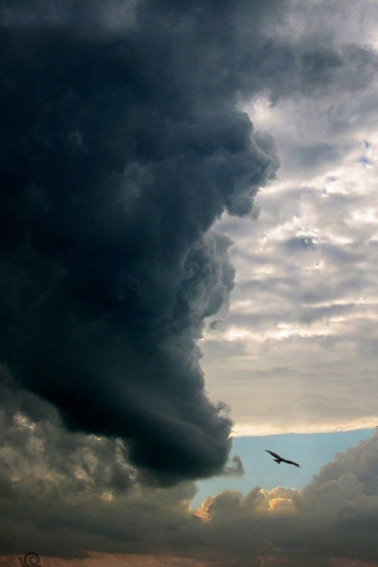 моя первая фотография фото превью