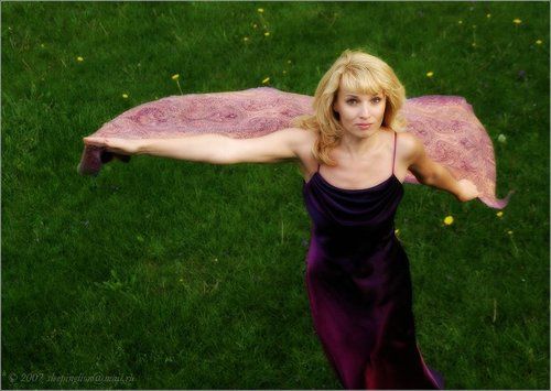 Bird in the night sky