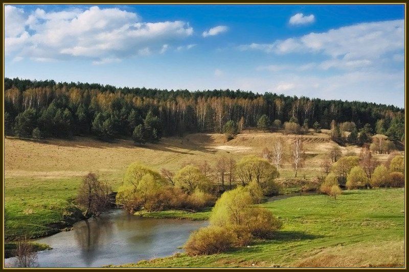 весна, речка, облака, лес на поляне у речки фото превью