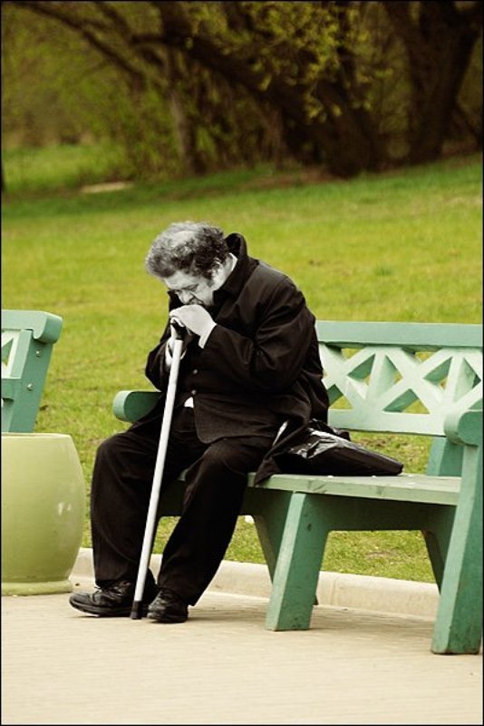 парк, скамейка, коломенское В парке фото превью