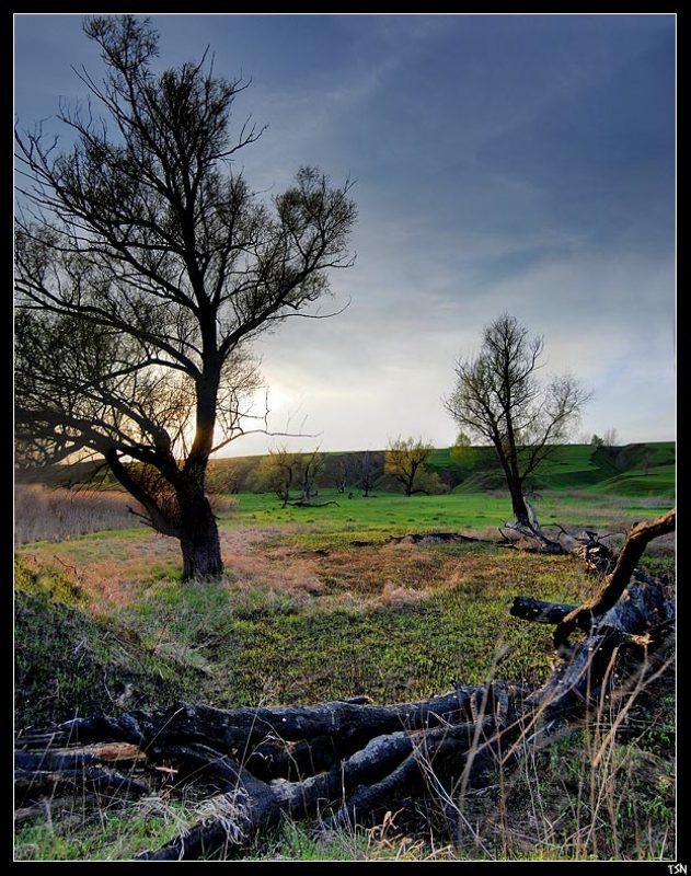 пейзаж Предзакатное фото превью