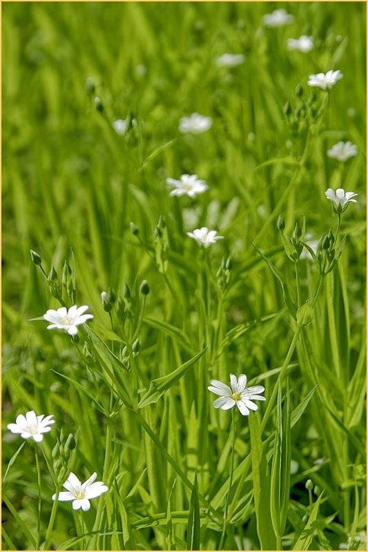 , Александр Батурский