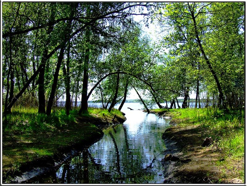слияние стихий Загадки природы фото превью