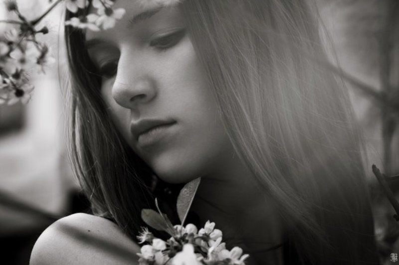 lucem, sakura, лена, весна, вишня sakura фото превью