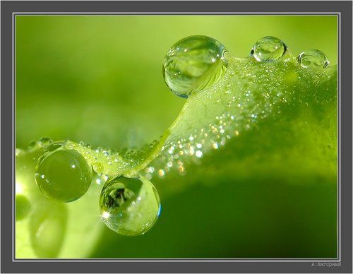 Слёзы радости и света