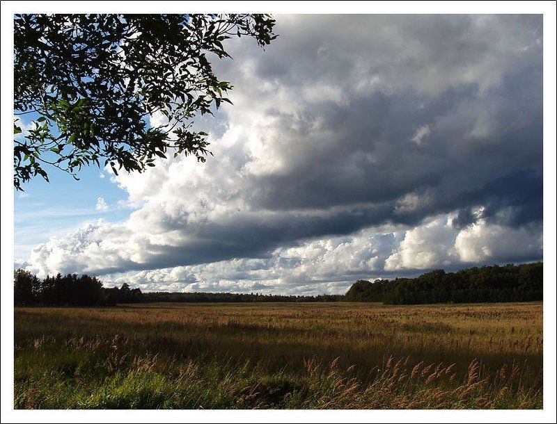 калининградская область, лето, солнце, тучи Контраст фото превью
