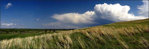 Улетай туча!