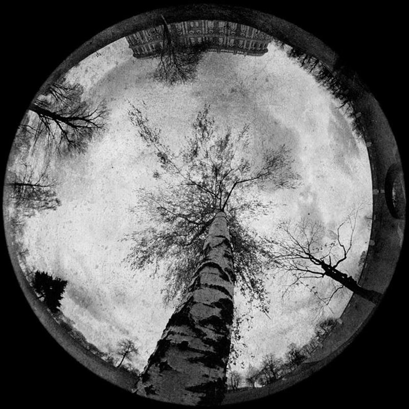 пеленг 8мм лунная. третья фото превью