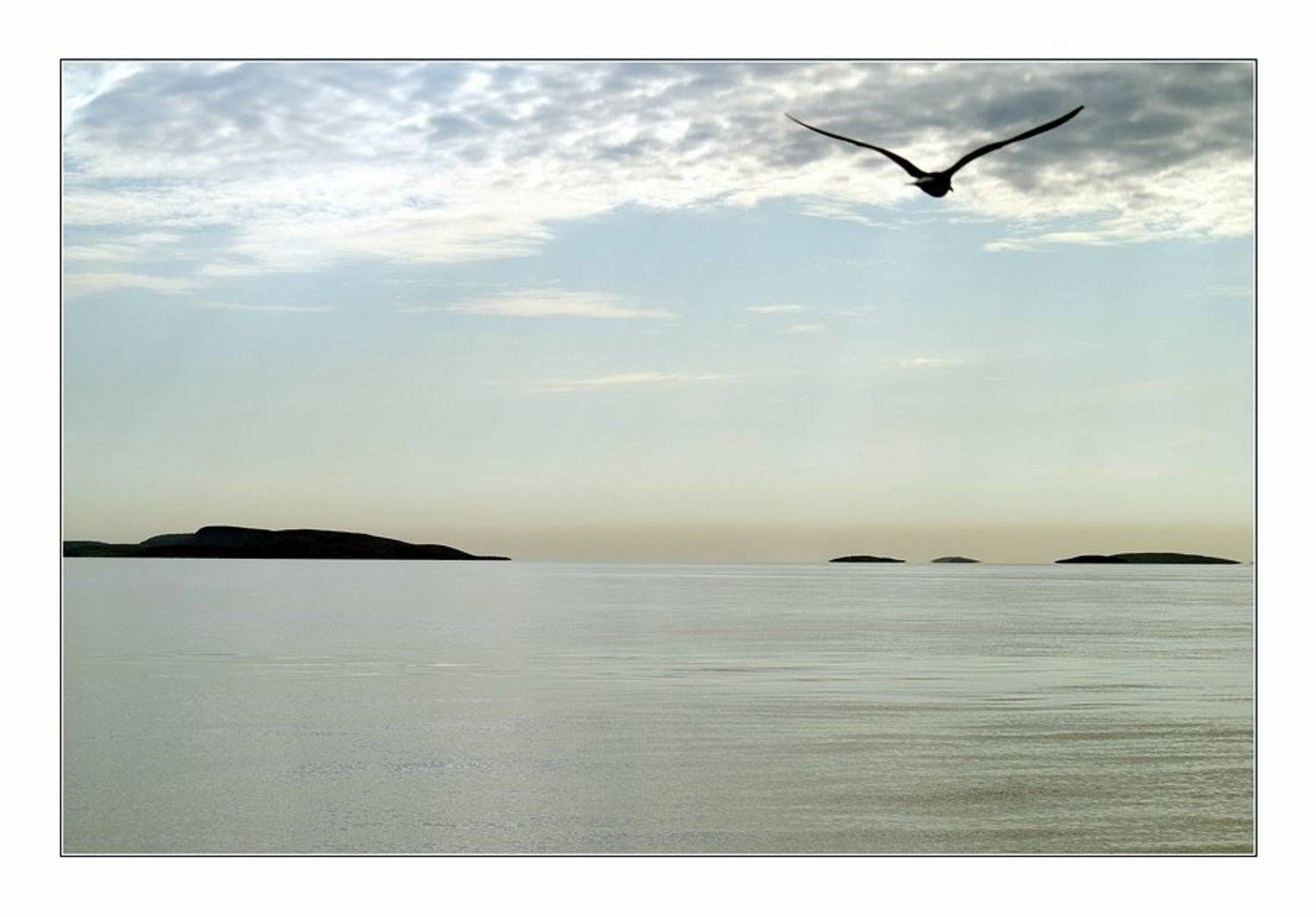 соловки, Eland