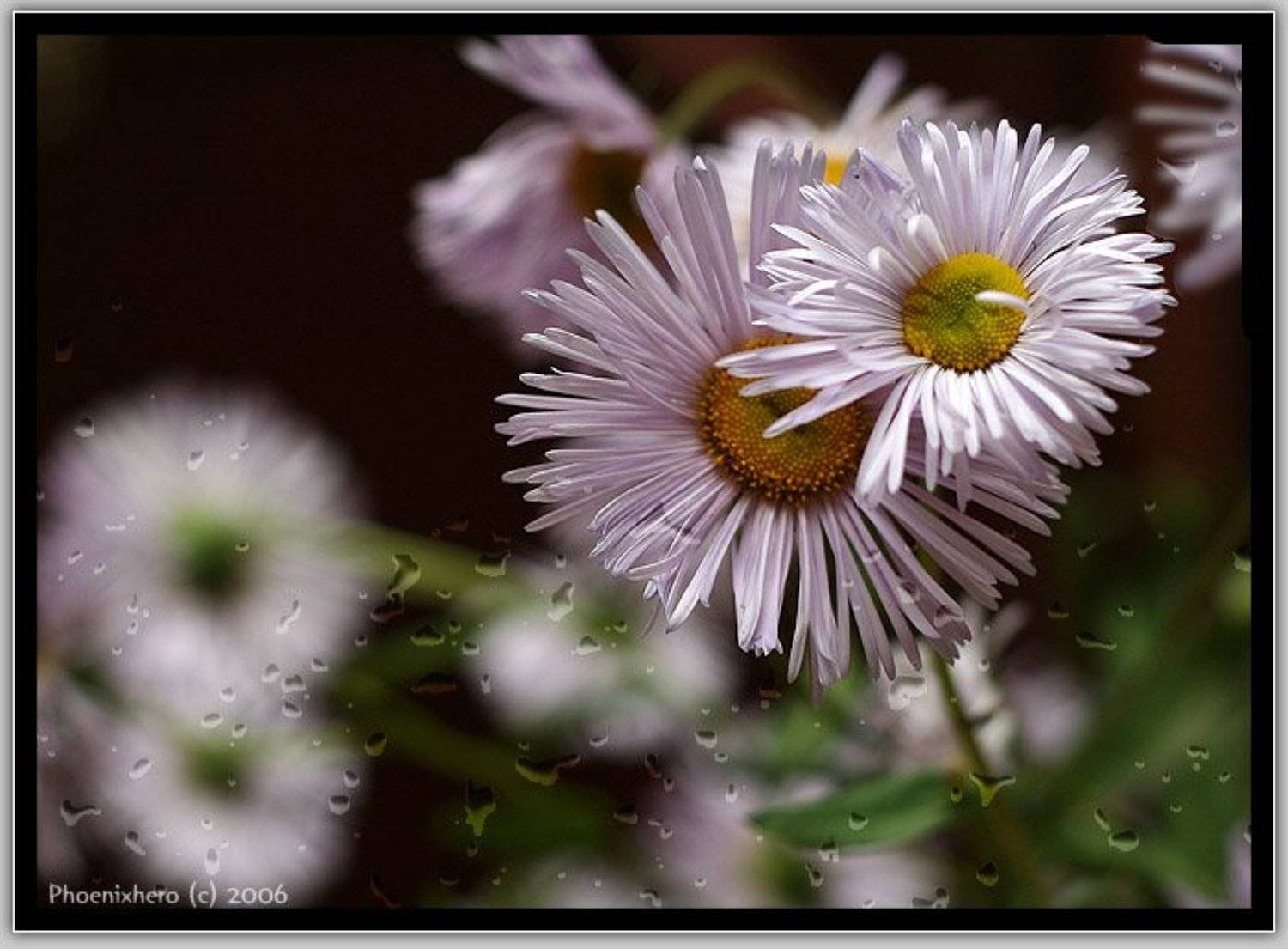 , Леонид Журавлев