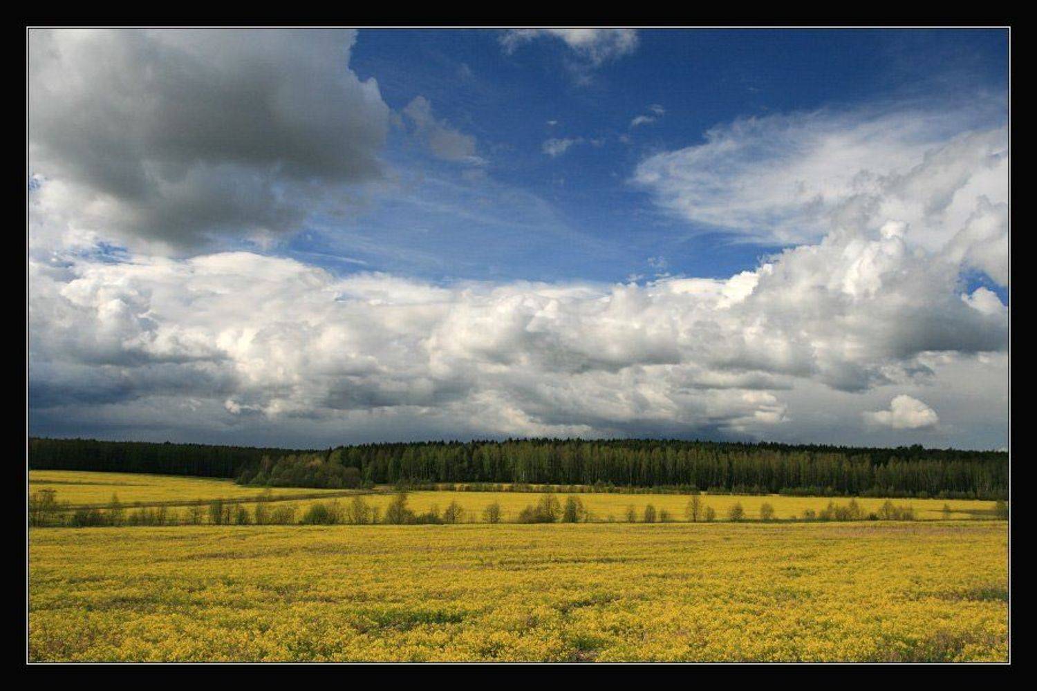 весна, поля, тучи, Георгий