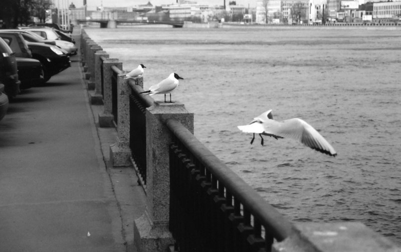 Ну, мне пора... фото превью