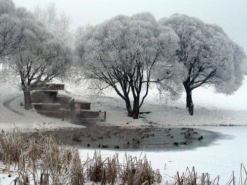 Все уже и уже сжимается круг...