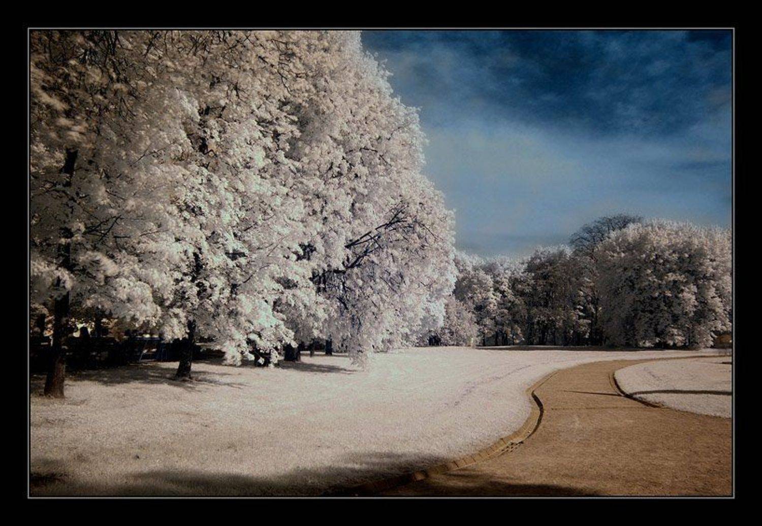 ик, infra red, инфракрасная съемка, Капустин Николай