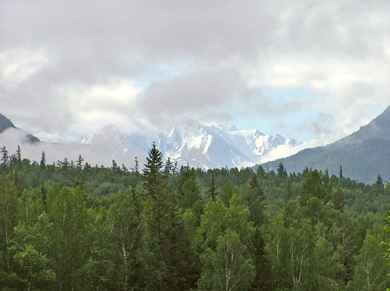 алтай, катунский хребет, VRoot