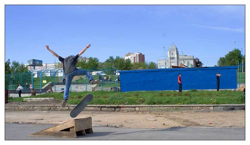 Птица фото превью