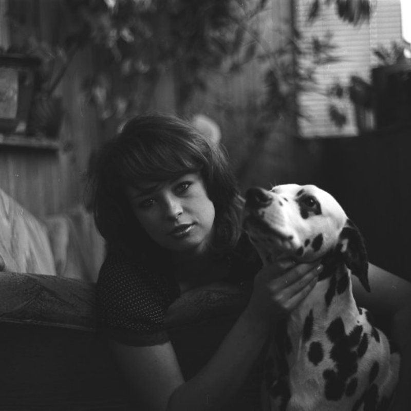 *** фото превью