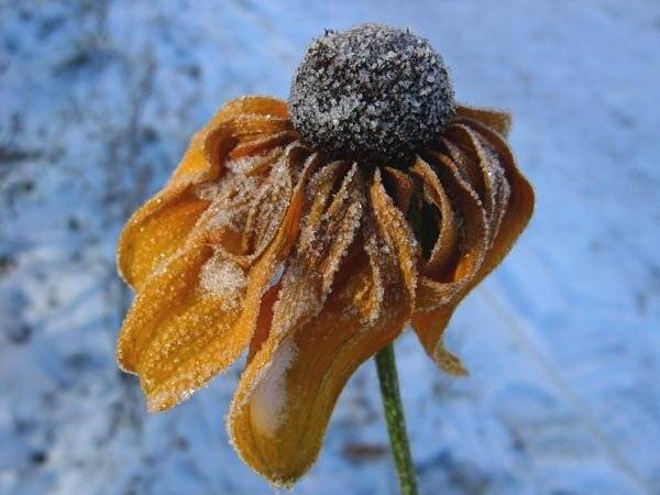 море, юг, солнце, зима, лето, сон,, Vincent