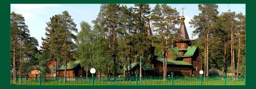 В тени сосен ....