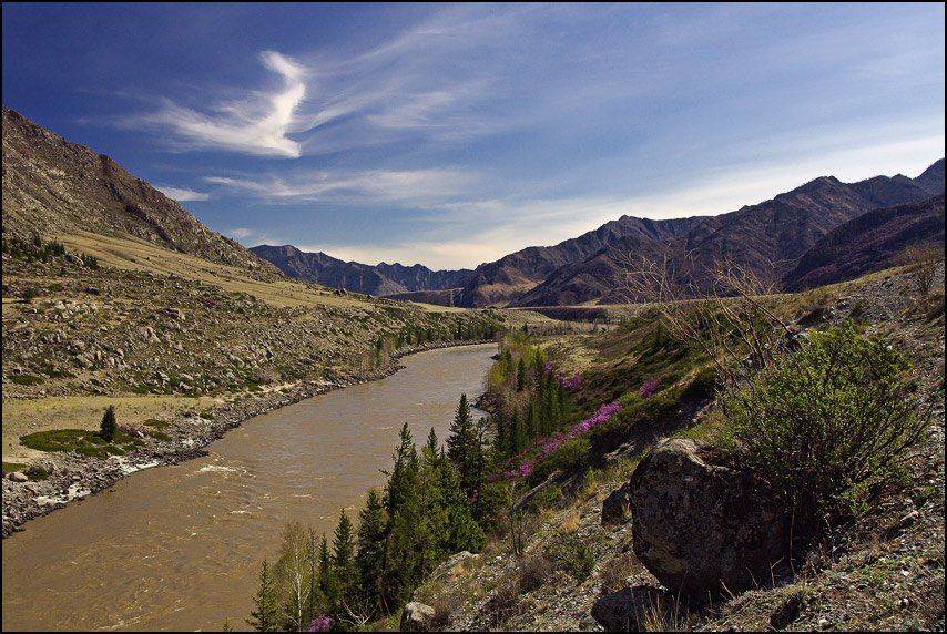 горы, алтай, горный алтай, катунь, река, весна, аня графова, Аня Графова