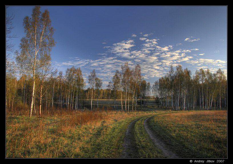 родинка, утро, поле, дорога, деревья, небо, пейзаж, photohunter, Андрей Житков
