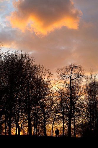 Гости на земле