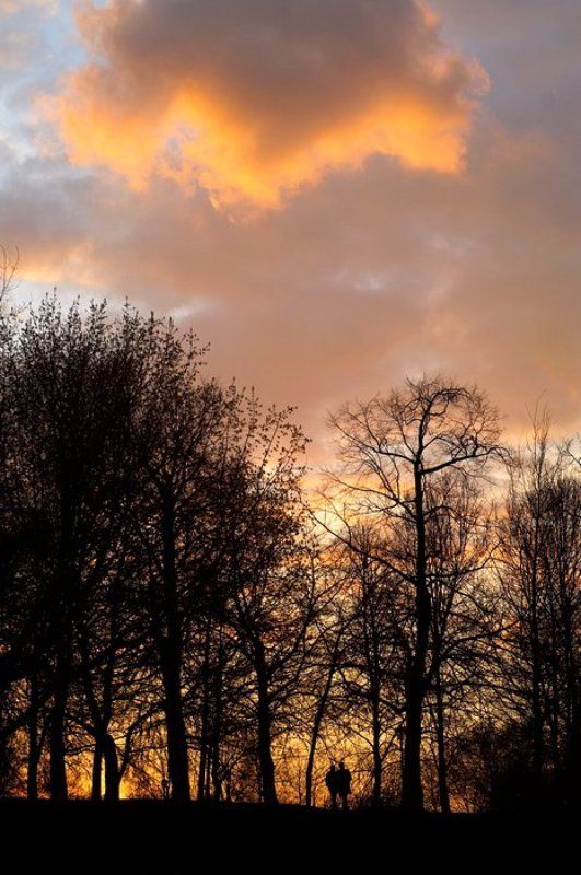 коломенское, закат Гости на земле фото превью