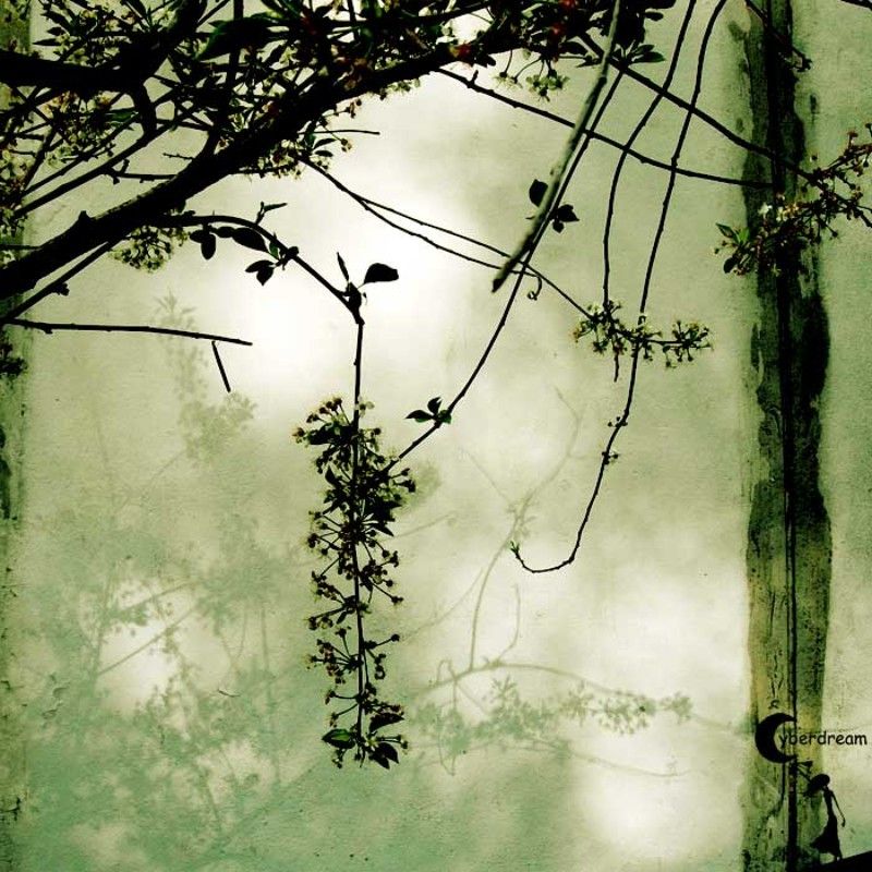 Сон о Весне фото превью