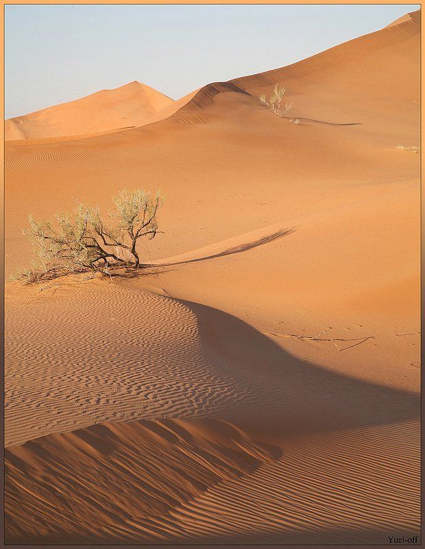 Минимализмы пустыни Rub Al Khali (Оман)