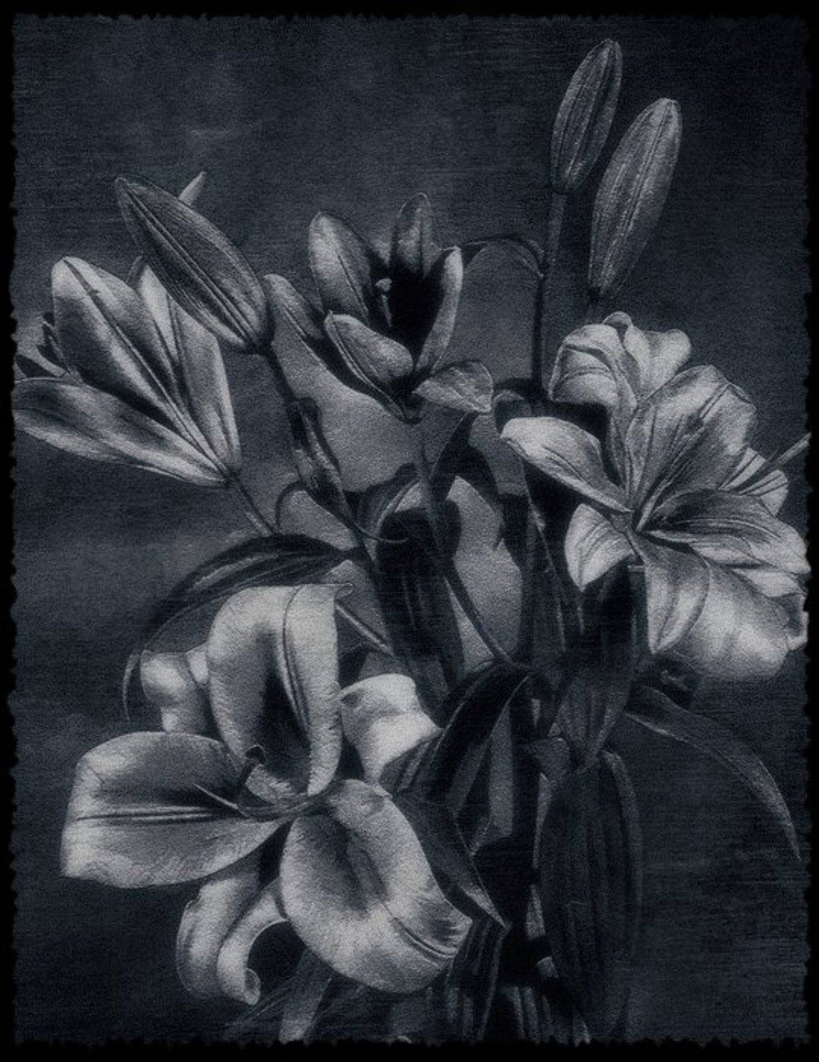 макро, лилия, Albert SmirnoV