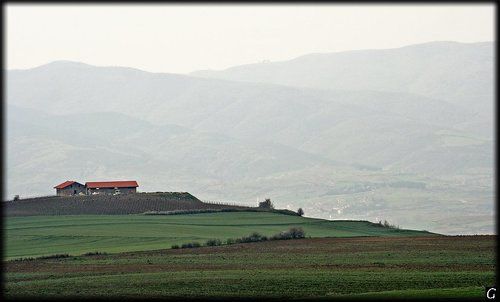 Весение зарисовки из Турции _1