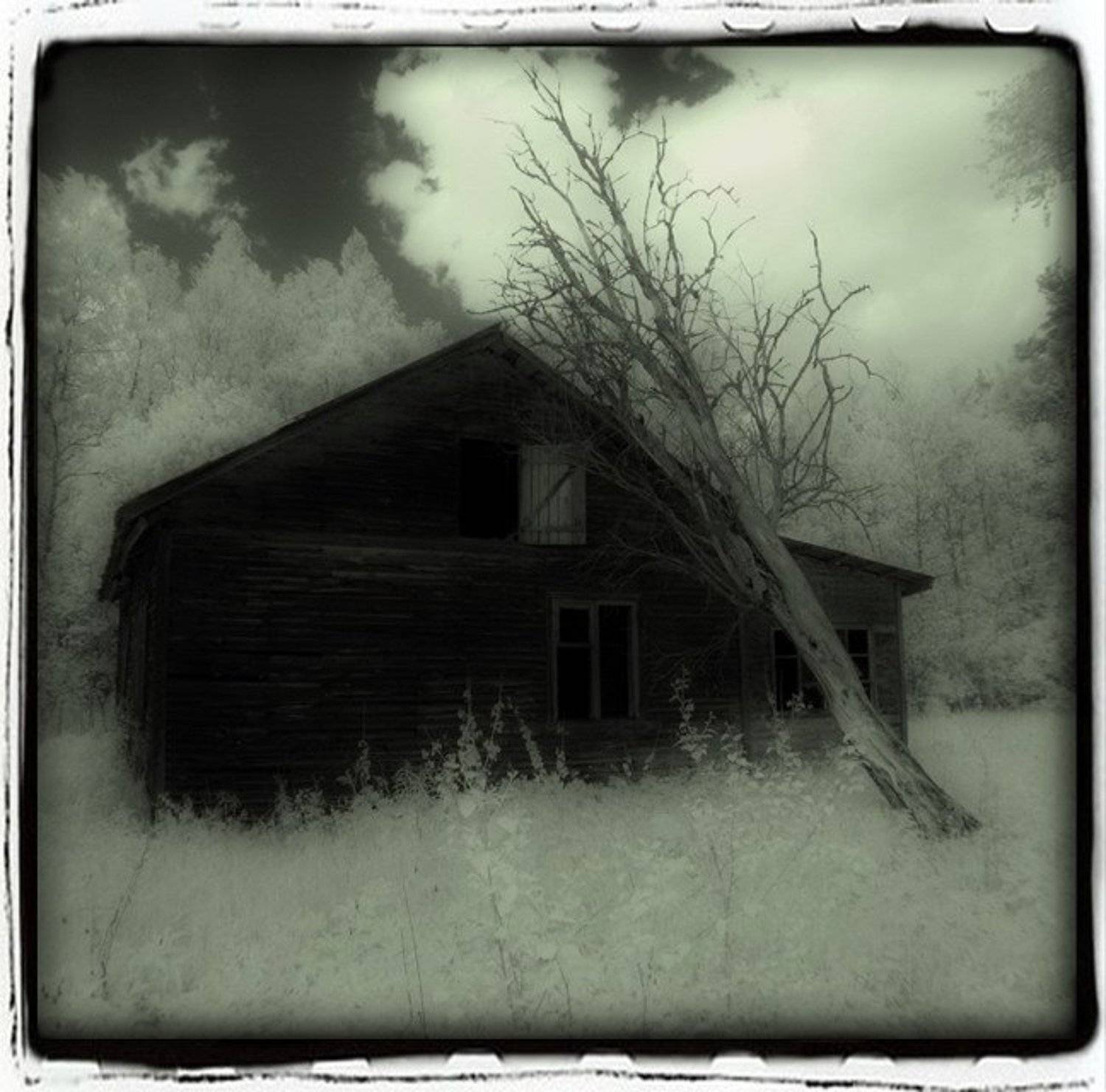 infared инфракрасная ик ir, Тайлер Дёрден