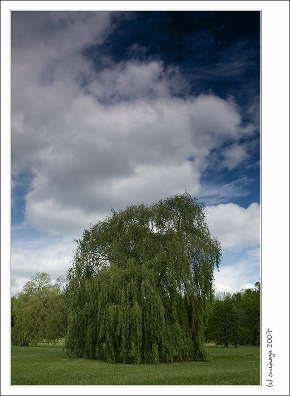 прага о Праге фото превью