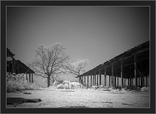 Когда-то здесь жили коровы