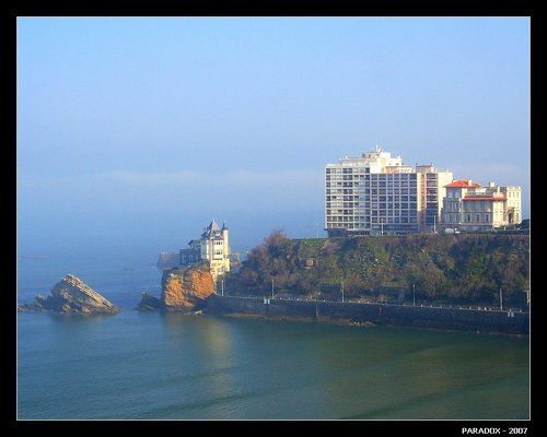 Хрупкая красота океана