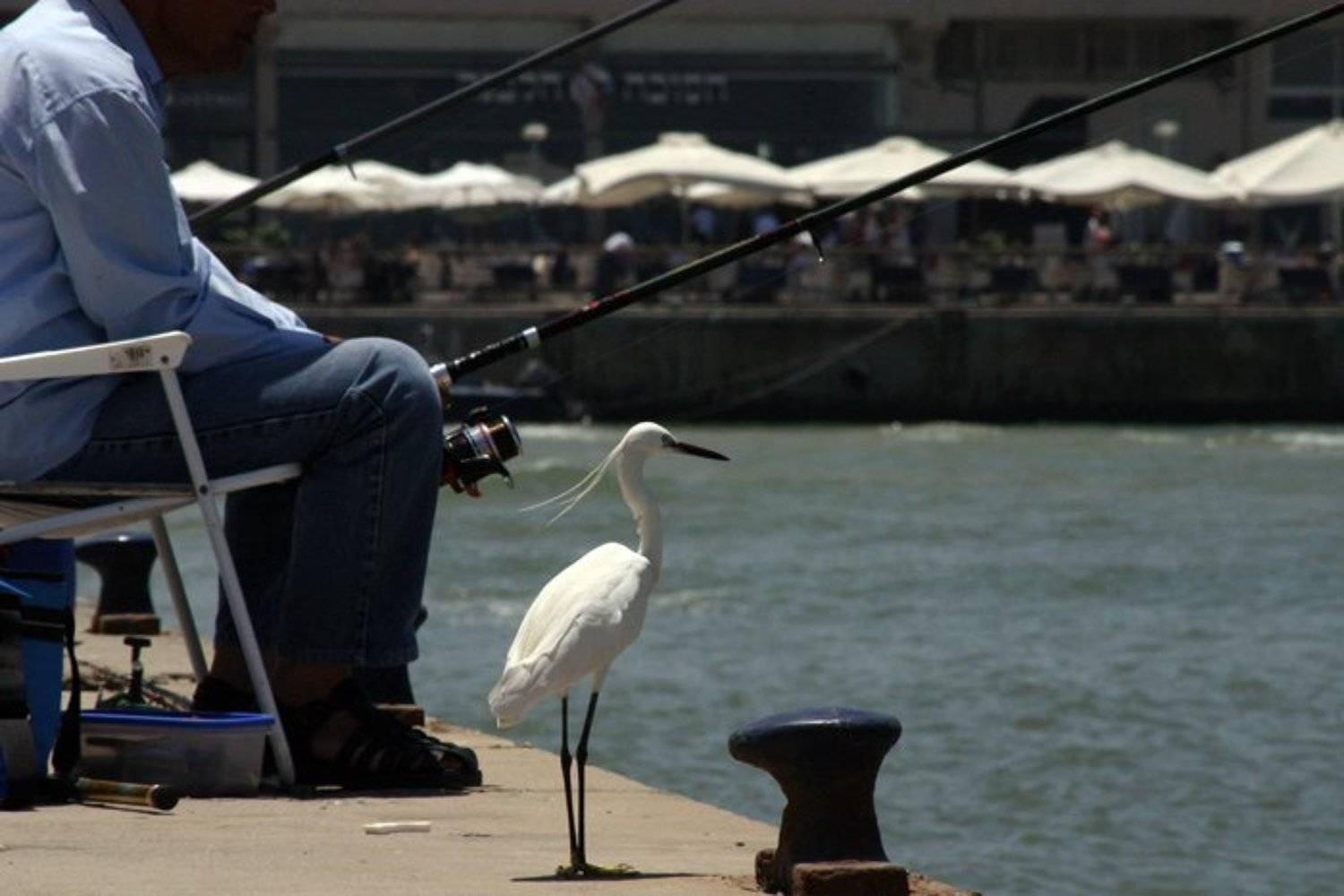 igalsc, genre, IgalSc