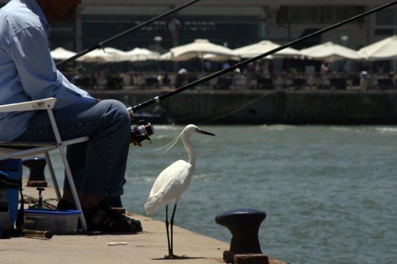 igalsc, genre В ожидании улова фото превью