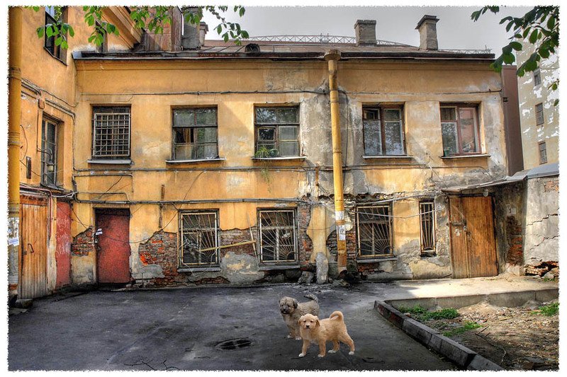 Столичный двор и его обитатели фото превью