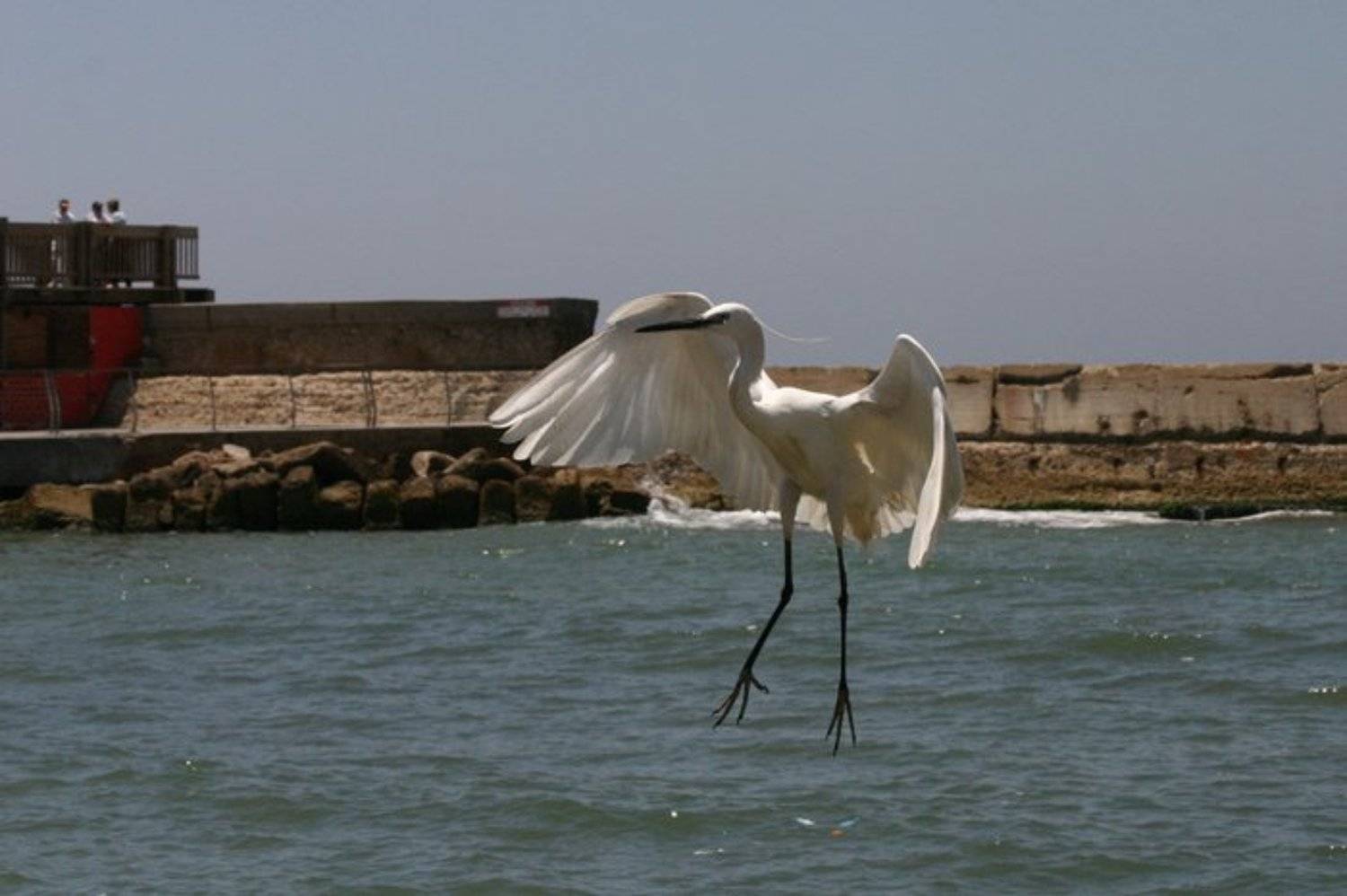 igalsc, genre, IgalSc