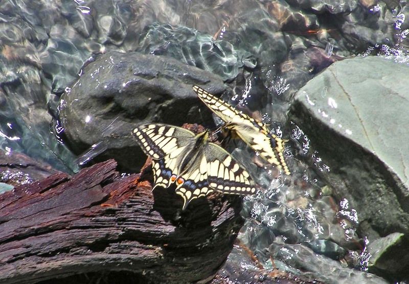 Do you love me? фото превью