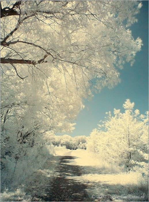 ик, инфракрасное, infrared, Pilgrim