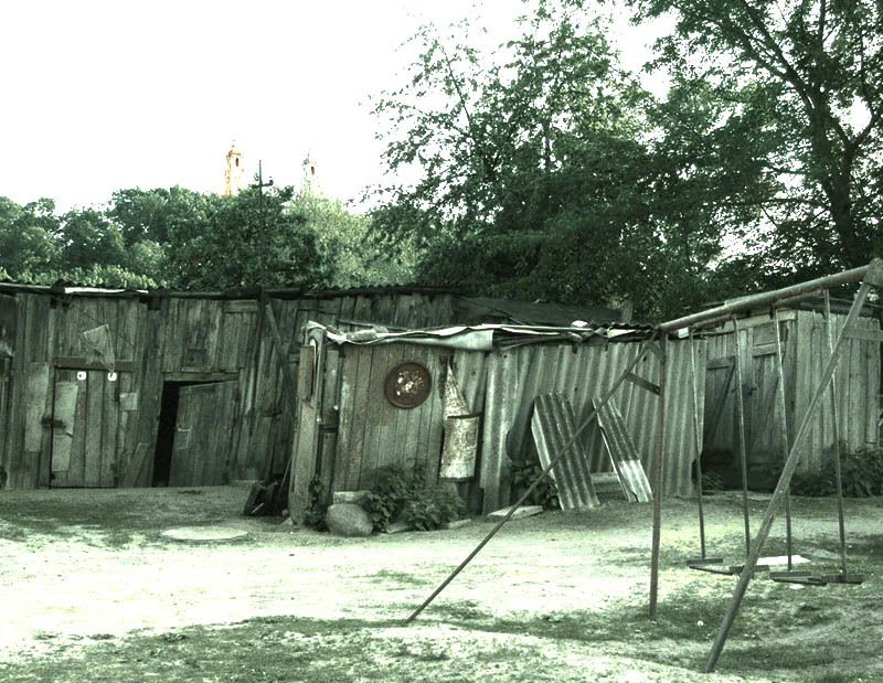 сараи, ужупис, солнце В детстве деревья казались больше, дни солнечнее... фото превью