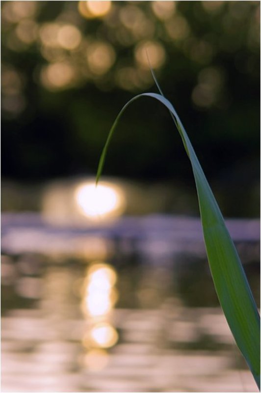 Солнечный фонарик фото превью