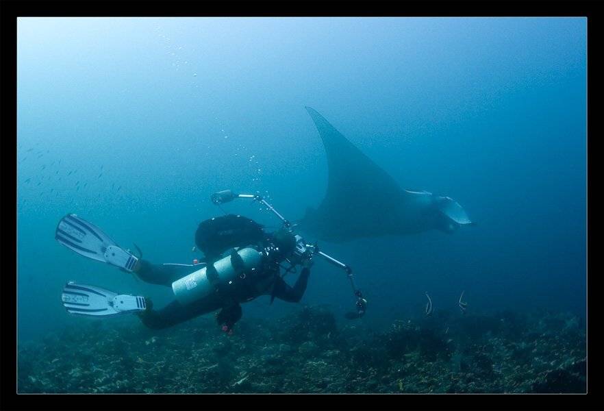 филиппины, малапаска, манты, дмитрий виноградов, Torchuck