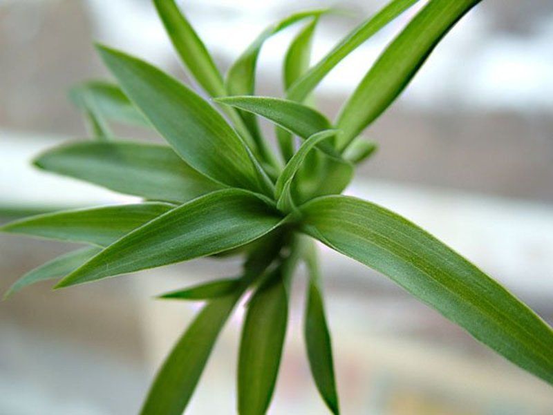 Many ways фото превью