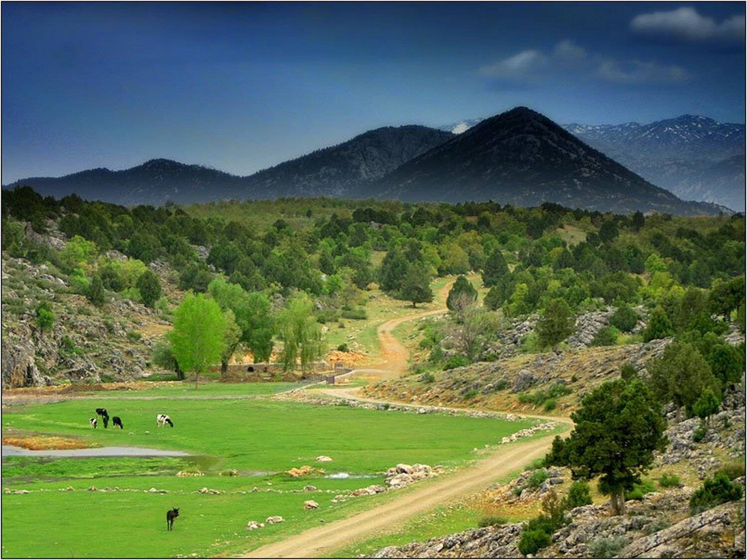 горы, турция, луга, Shimizu