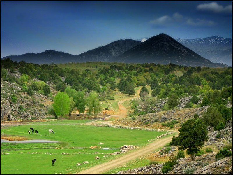 горы, турция, луга  фото превью